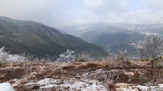 浙江周边区县纷纷下起了鹅毛大雪 温岭下雪了，温岭雪景！