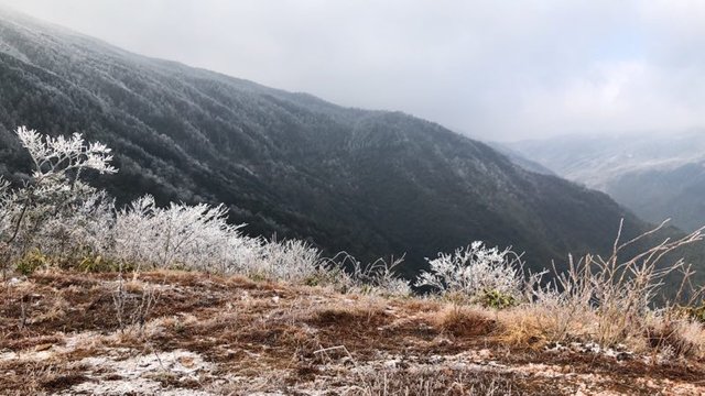 浙江周边区县纷纷下起了鹅毛大雪 温岭下雪了，温岭雪景！