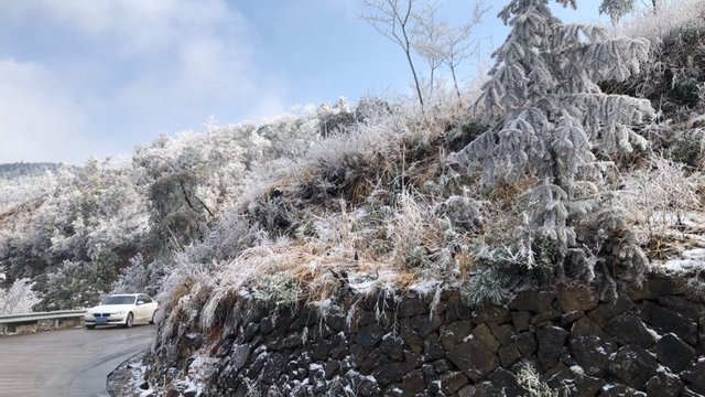 浙江周边区县纷纷下起了鹅毛大雪 温岭下雪了，温岭雪景！