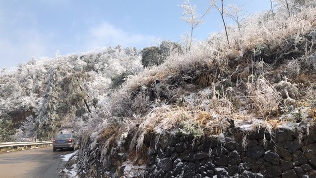 浙江周边区县纷纷下起了鹅毛大雪 温岭下雪了，温岭雪景！