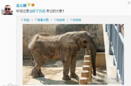 38岁孙越全家照：养大象认识的妻子，儿子跟他共用一张脸！