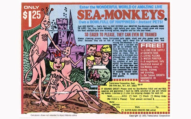 Sea Monkey