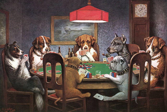 dogs