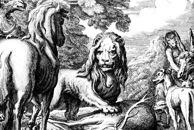 Aesop Comes From Turkey Steemit
