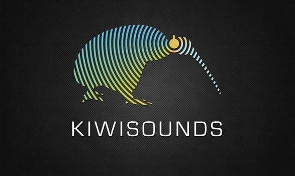 Image result for Kiwi music