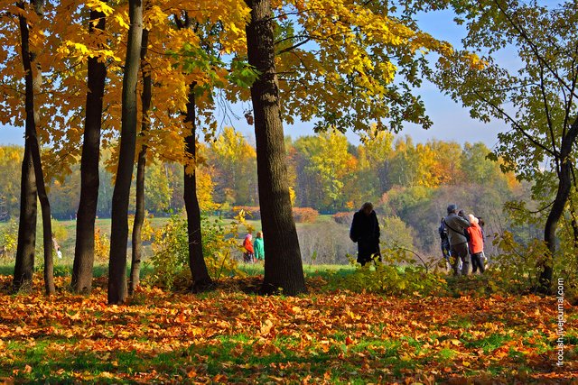Visitors to the park Tsaritsyno walk on the fallen dry foliage