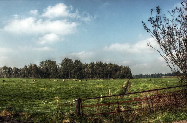 Field HDR