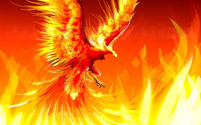 Image of phoenix 