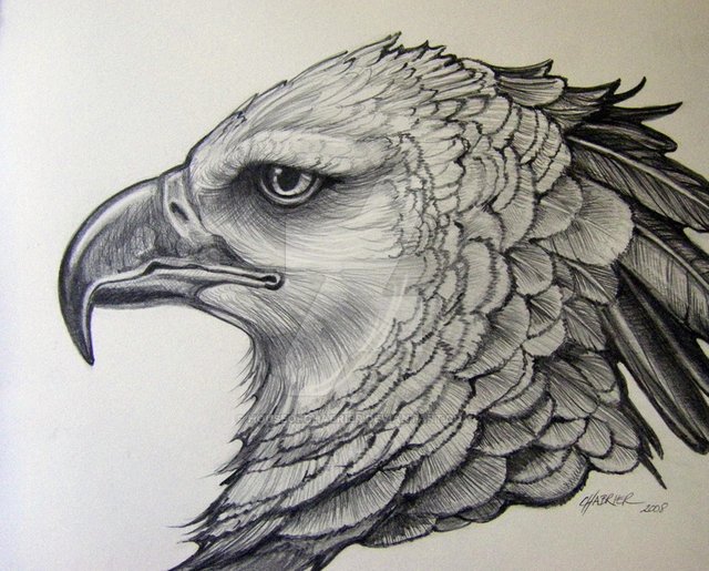 Eagle Tattoo Designs  Google Play ನಲಲ ಅಪಲಕಶನಗಳ