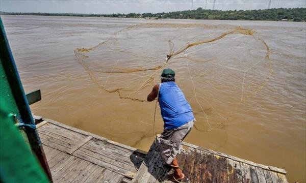 La Feria Del Orinoco O De La Sapoara Ciudad Bolivar Y Soledad Venezuela Steemit