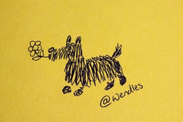A sketch of a black scottish terrier carrying a daisy.