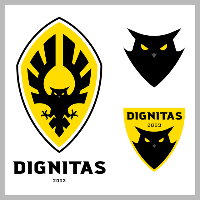 team dignitas