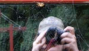 bex reflected behind spider web