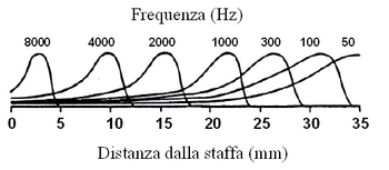 Membrana basilare e frequenze