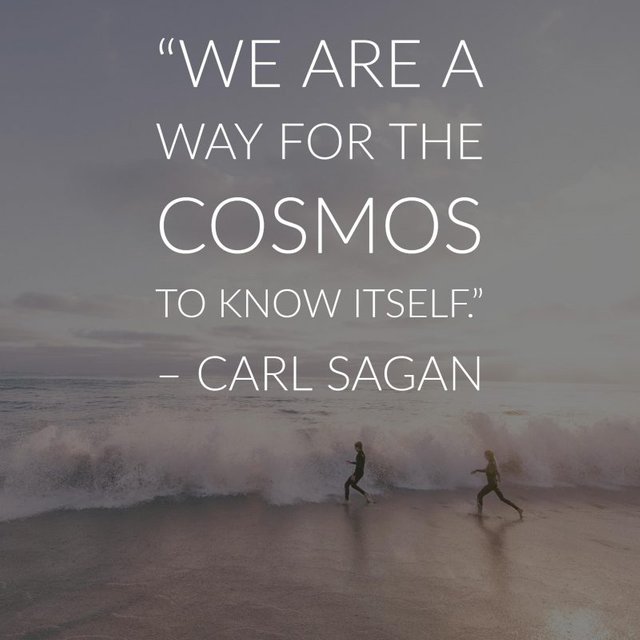 carl sagan quotes