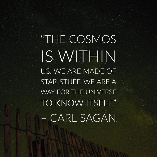 carl sagan quotes