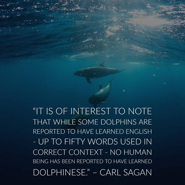 carl sagan quotes