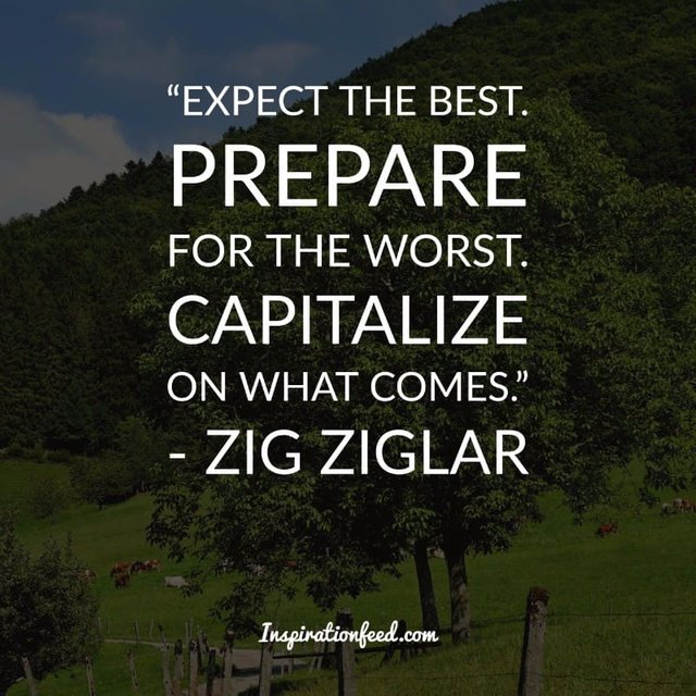 Zig Ziglar quotes