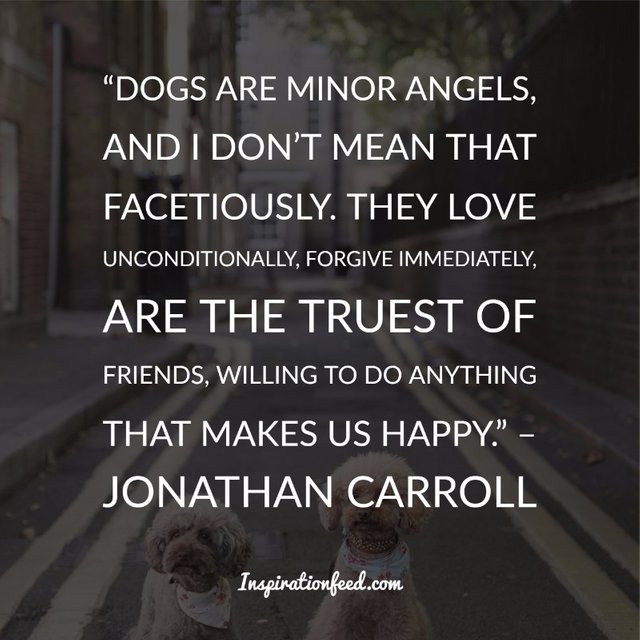 Dog Quotes and Sayings