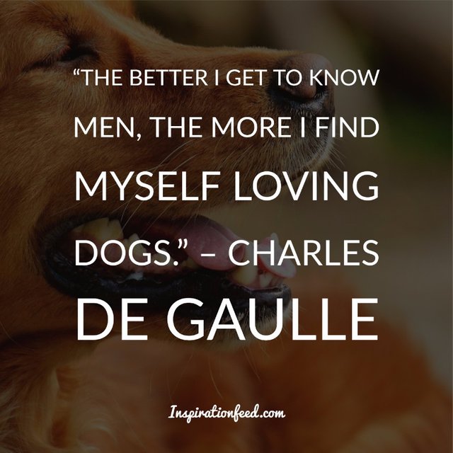 Dog Quotes and Sayings