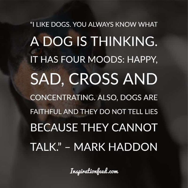 Dog Quotes and Sayings