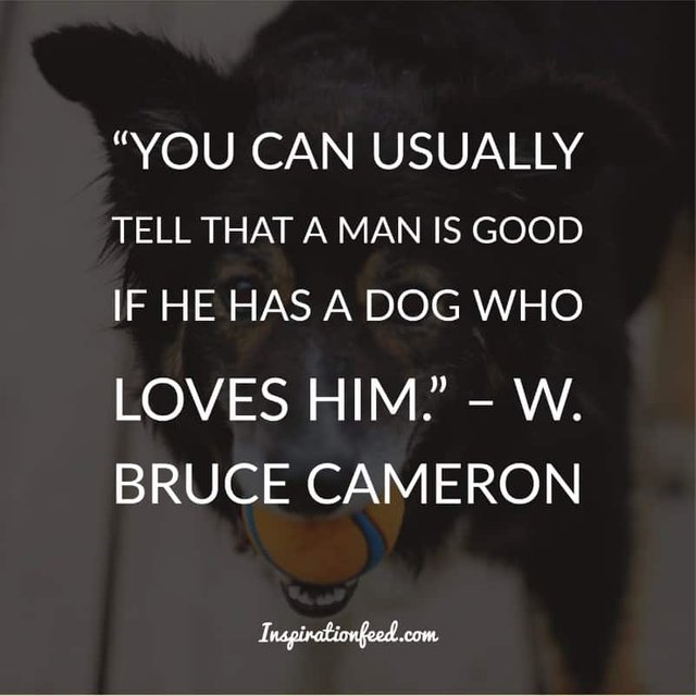 Dog Quotes and Sayings