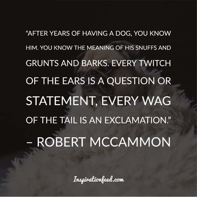 Dog Quotes and Sayings