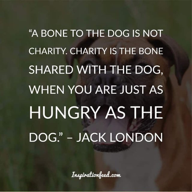 Dog Quotes and Sayings