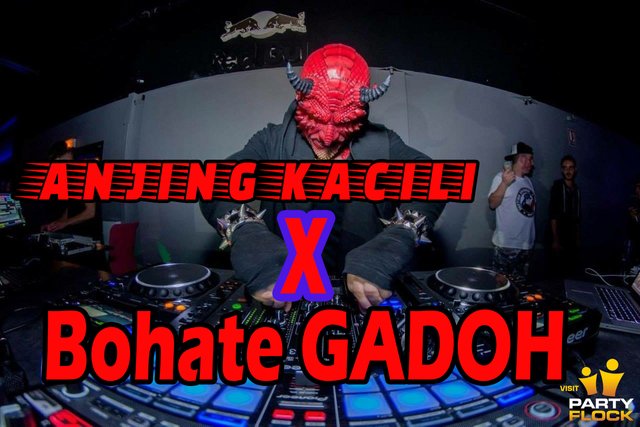 Remix Dj Anjing Kacili Re Bohate Gadoh Steemit