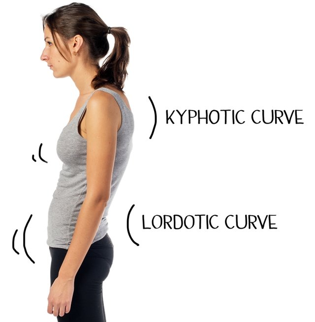 Lordosis - Kyphosis Posture