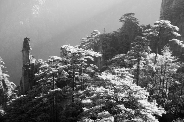 Huangshan hike in 2013