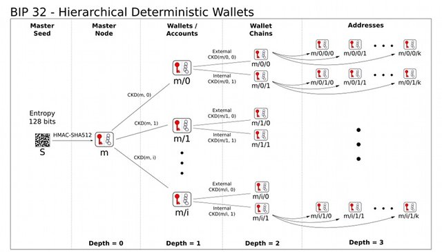 BIP 32 HD wallet