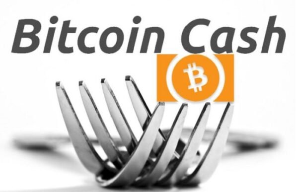 BCH Hardfork: Why Had Split Happened?