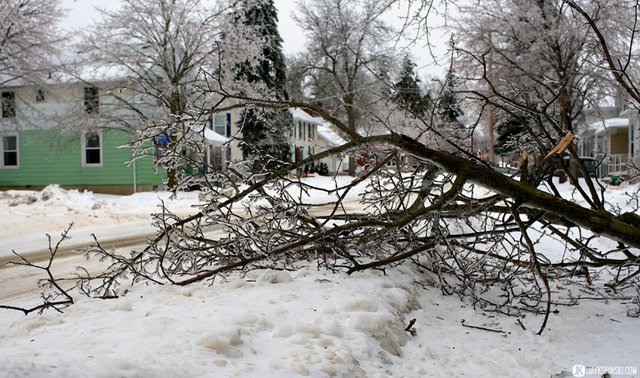 GANANOQUE, CANADA - December 22: Icestorm on December 22, 2013 in Gananoque, Ontario, Canada. - Jay Kopinski