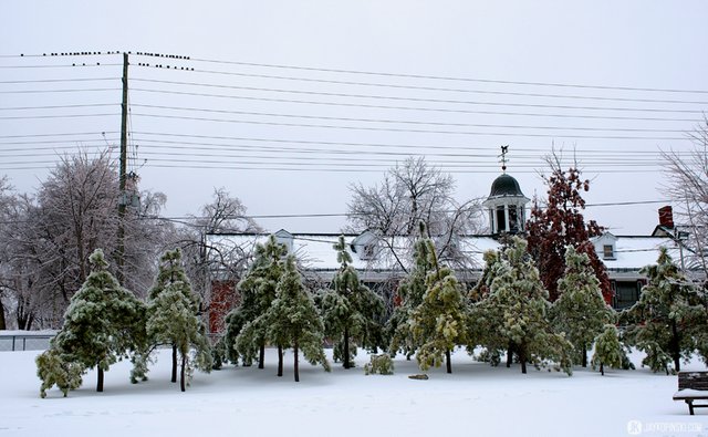 GANANOQUE, CANADA - December 22: Icestorm on December 22, 2013 in Gananoque, Ontario, Canada. - Jay Kopinski