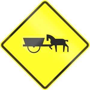 cart-before-horse