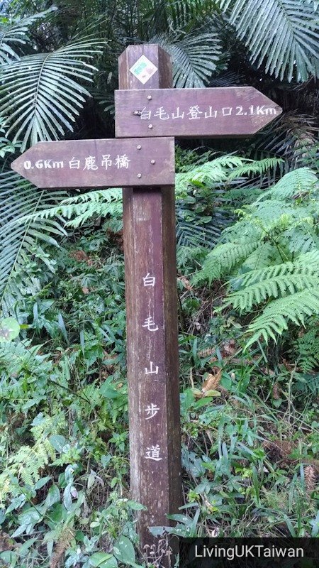 Hiking at Mount Baimao, Taiwan