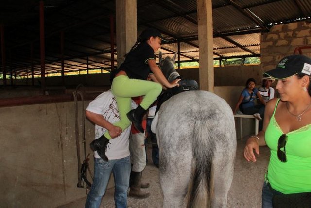 Resultado de imagen para niÃ±os en el hipodromo