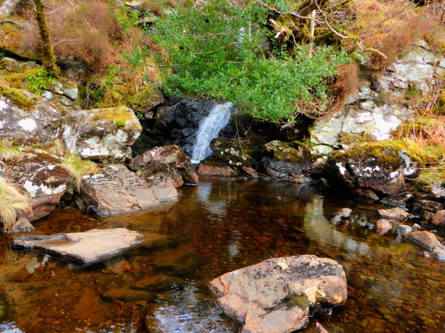 our swimming pool