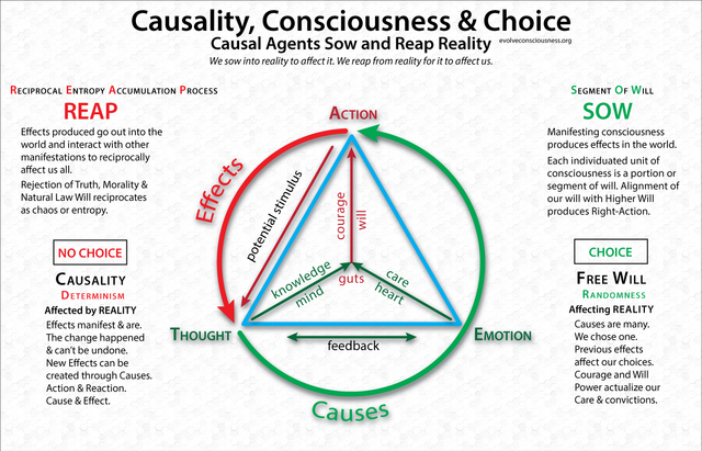 Causality-Consciousness-Choice