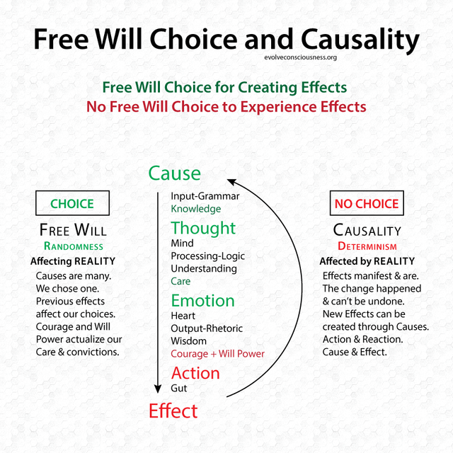 Free-Will-Choice-Causality