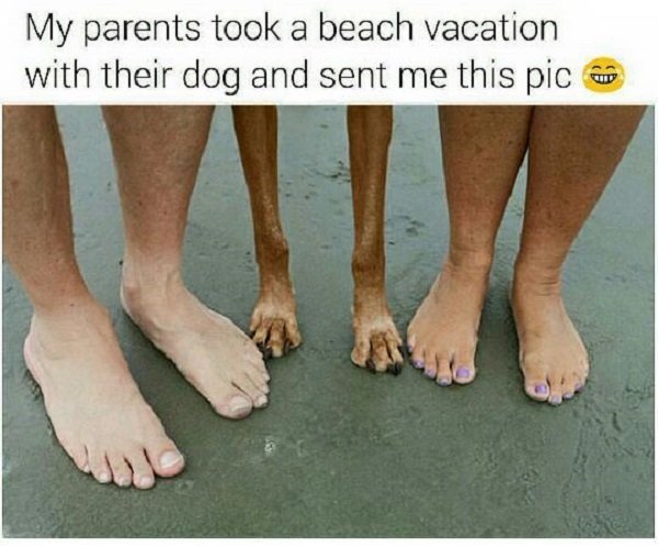 Vacation Memes Are Never Not Funny Cheezcake Parenting