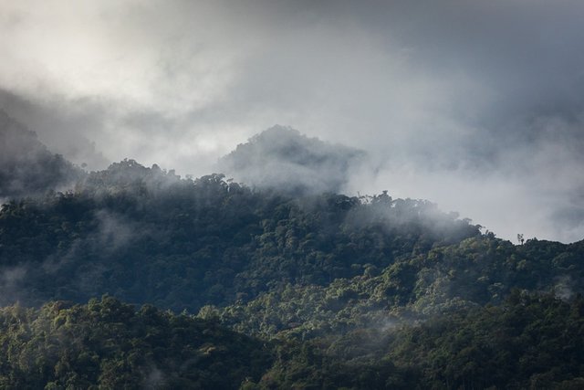 Morning mood with clouded hills