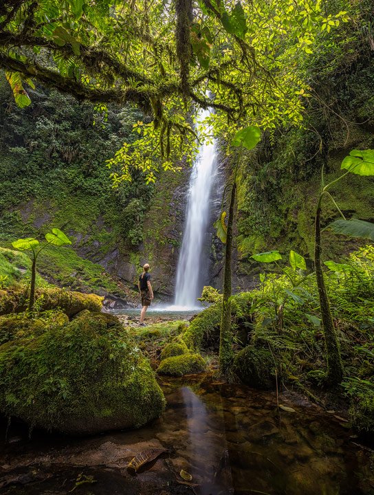 Waterfall surrounded by trees in Rio Bravo Reserve