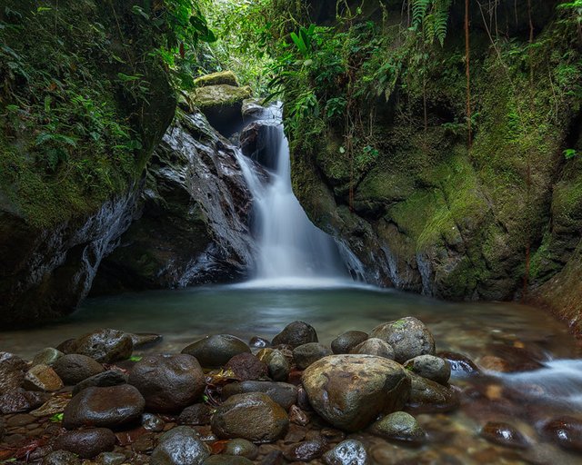 Waterfall in Sanctuario de las cascadas