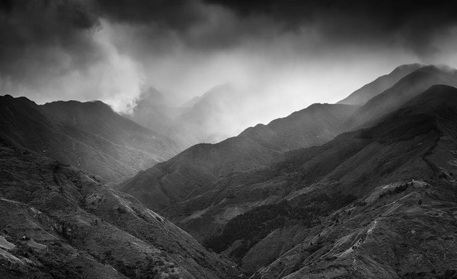 dark rain clouds over Podocarpus national park