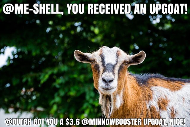 @dutch got you a $3.6 @minnowbooster upgoat, nice!