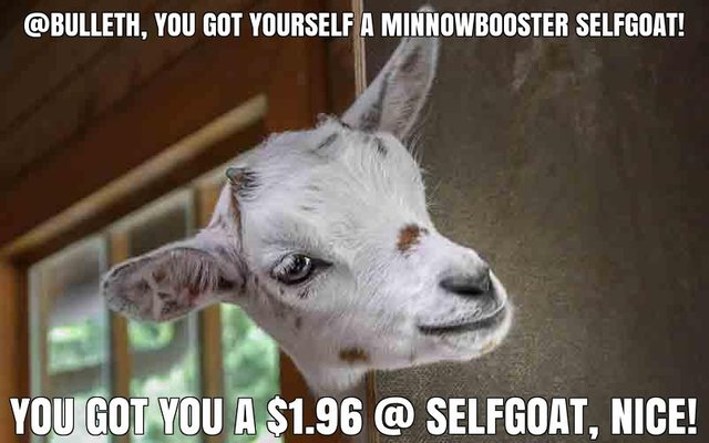 @bulleth got you a $1.96 @minnowbooster upgoat, nice!