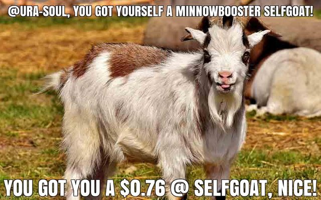 @ura-soul got you a $0.76 @minnowbooster upgoat, nice!