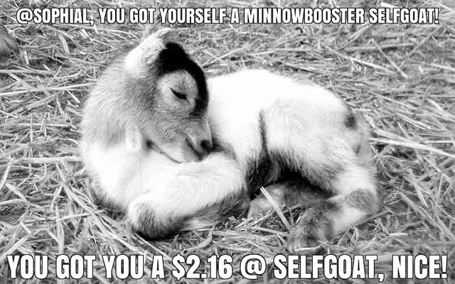 @sophial got you a $2.16 @minnowbooster upgoat, nice!